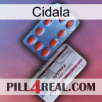 Cidala 36